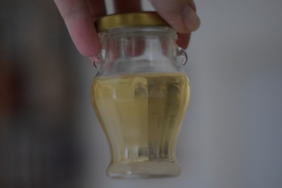 Magisterium z perel.JPG