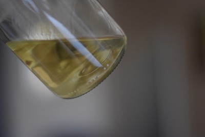 Elixir recorporativus.JPG