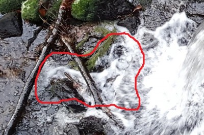 20200112_145454, detail 1.jpg