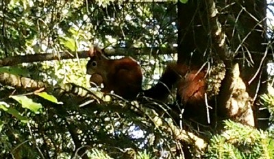 IMG_20211003 -červená.jpg