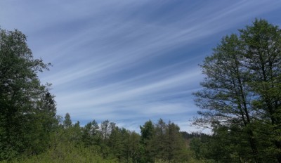 IMG_20210602_123330 -1.jpg