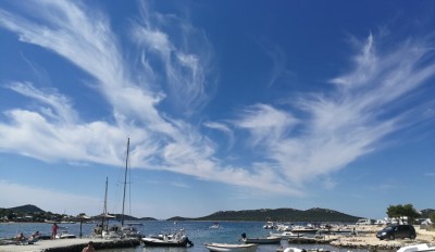 1. IMG_20200714_103639.jpg