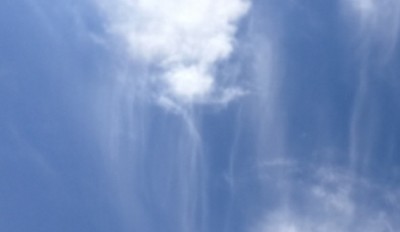 5. IMG_20200714_110829.jpg