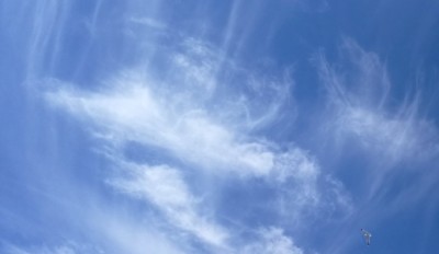 7. IMG_20200714_110800.jpg