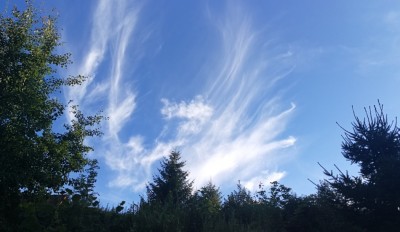 1. IMG_20200729_192137.jpg