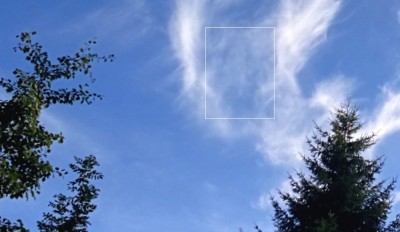 3. IMG_20200729_192059.jpg