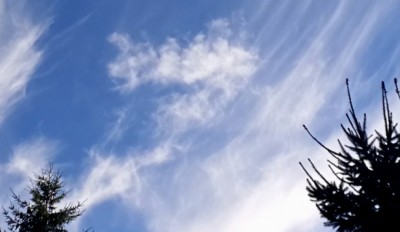 5. IMG_20200729_192059.jpg