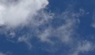 8. IMG_20200827_133556.jpg