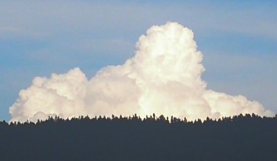 1. IMG_20200726_172655.jpg