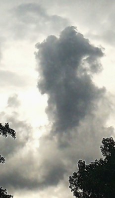 4. IMG_20200728_171243.jpg