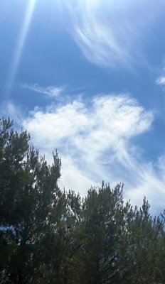 7. IMG_20200714_113912.jpg