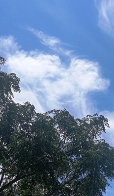 8. IMG_20200714_113432.jpg