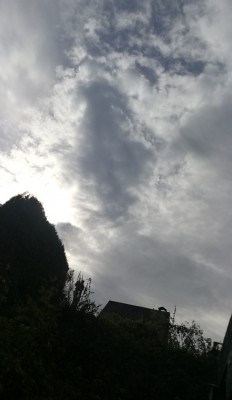 7. IMG_20211019_132518 -1.jpg