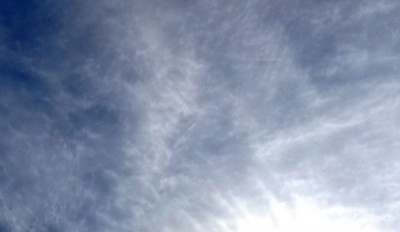 1. IMG_20211020_124555.jpg