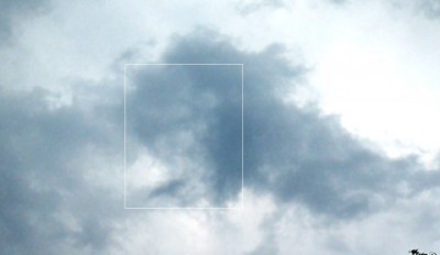 6. IMG_20200728_172955.jpg