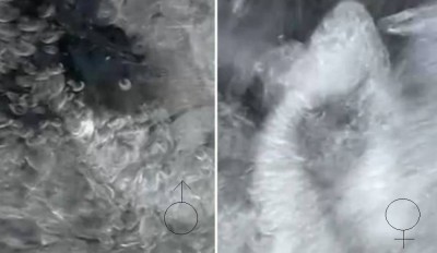 8. IMG_20210406_1028.jpg