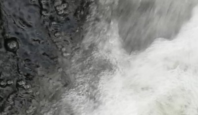 5. IMG_20210407_1035.jpg