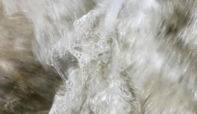 8. IMG_20211107_1325 -1.jpg