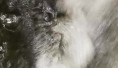 1. IMG_20200530_1446.jpg