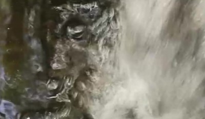 3. IMG_20200525_1657.jpg