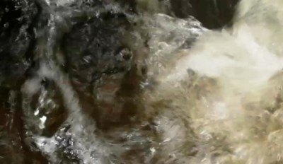 4. IMG_20210828_1713.jpg