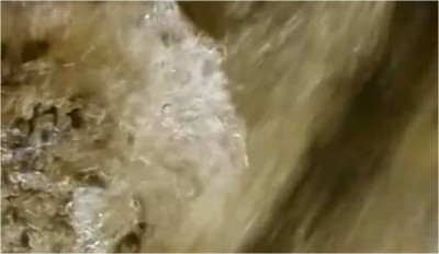 1. IMG_20210331_090705.jpg