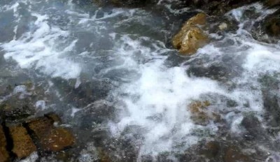 1. IMG_20220711_091137.jpg