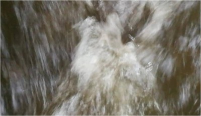 4. IMG_20220618_071015.jpg