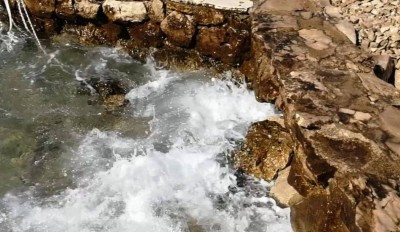 2. IMG_20220713_161923.jpg