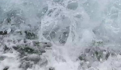 1. IMG_20220710_164659.jpg