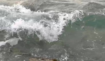 3. IMG_20220710_165028.jpg