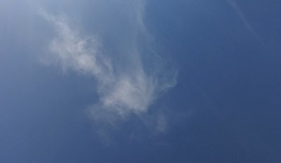 3. IMG_20220718_120238.jpg