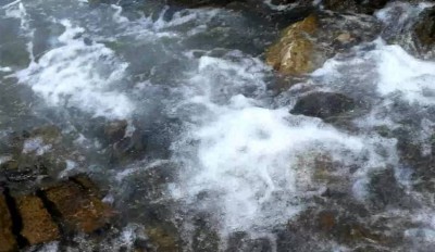 1. IMG_20220711_091137 -a.jpg