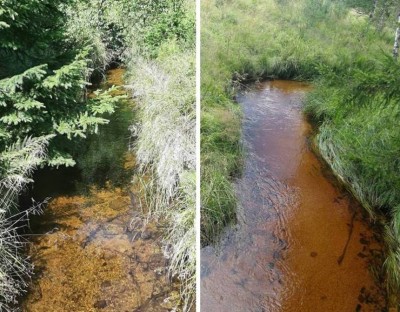 1. IMG_20220815_1015.jpg