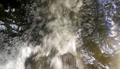 2. IMG_20220815_1028.jpg