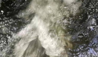 3. IMG_20220815_1030.jpg