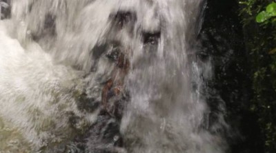 1. IMG_20220824_1533.jpg