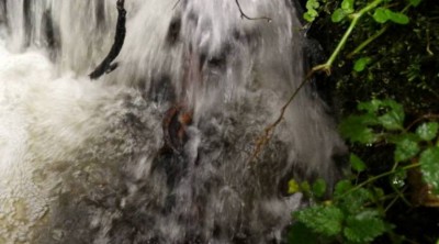 2. IMG_20220825_1042.jpg