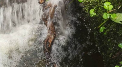 3. IMG_20220827_1854.jpg