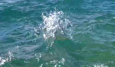 1. IMG_20220915_1658.jpg