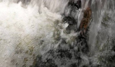 3. IMG_20220918_1323.jpg