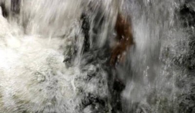 4. IMG_20220918_1310.jpg