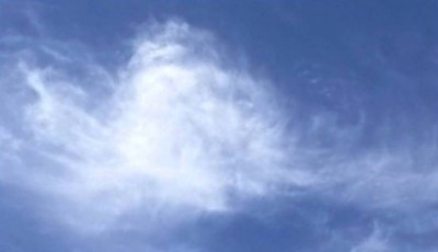 4. IMG_20220619_1306.jpg