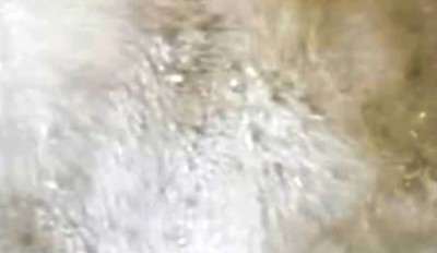 5. IMG_20210625_1305.jpg