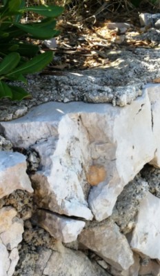 4. IMG_20230711_0951.jpg