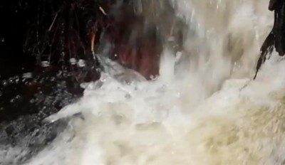 1. IMG_20230830_1605.jpg