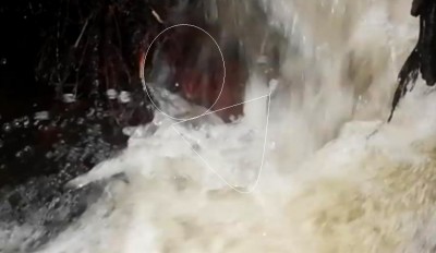 2. IMG_20230830_1605.jpg