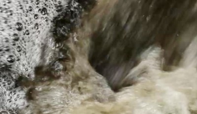 1. IMG_20221108_0921.jpg