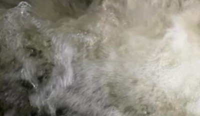 2. IMG_20230801_1346.jpg