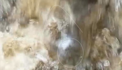 2. IMG_20231117_1232 -b.jpg